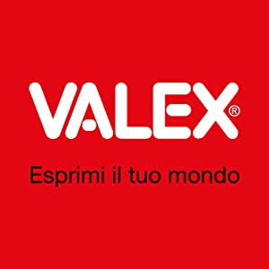 valex, logo