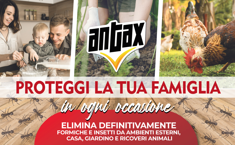 Antax esca per formiche