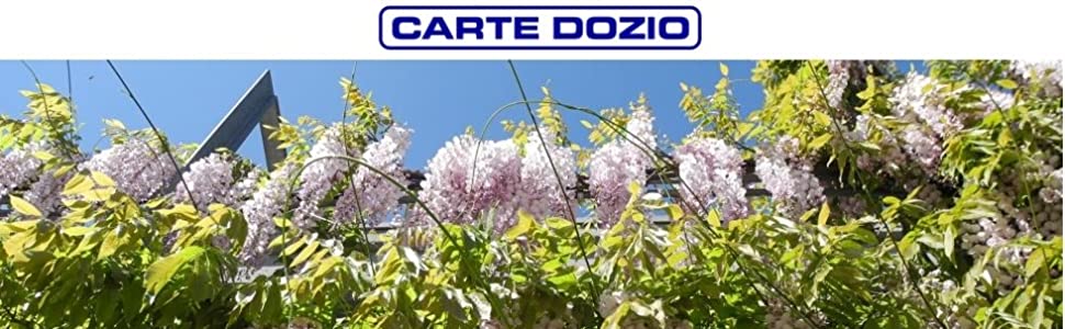  CARTE DOZIO