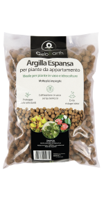 Argilla espansa gebearth 1 lt