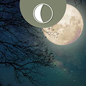 image with icon Moonphase