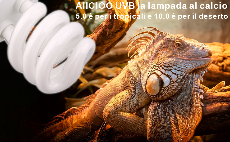 AIICIOO UVB calcium lamp