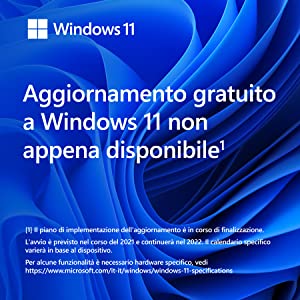 Windows 11