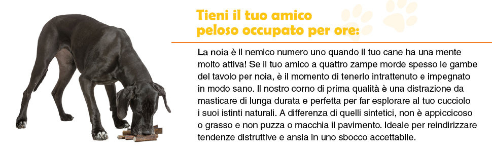 Questo corno di prima qualit?? manterr?? occupato il tuo amico peloso per ore