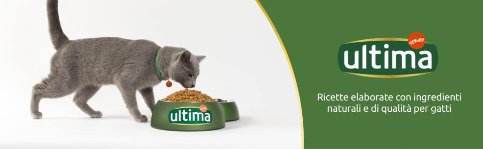 Ultima; Gatto; gatto; no sterilizzato; pollo; Salmone; adulti; gatti; Affinity; cibo; mazo