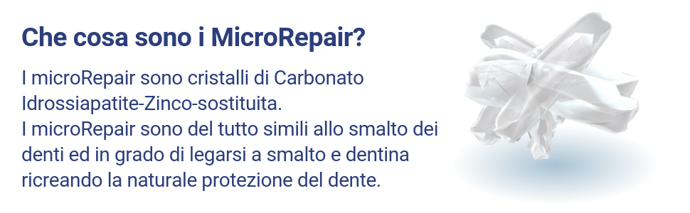 Microrepair Biorepair