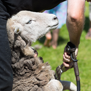 Tiere zu sch??tzen ist uns ein Anliegen