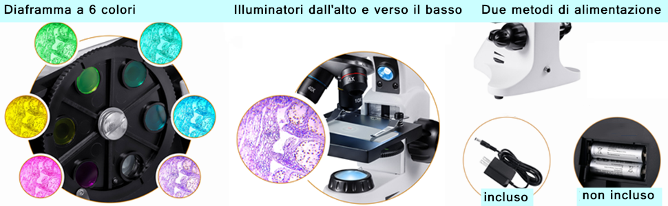 microscopio bambini