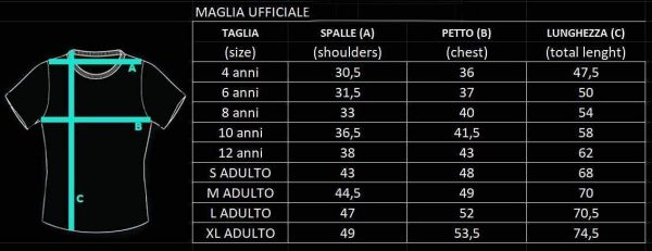 Sportbaer Maglia Calcio Federico Chiesa Stagione 2021 2022. Maglia Bianco Nera Numero 22. Prima Maglia. Replica Ufficiale autorizzata. Taglie da Adulto e da Bambino. - immagine 3