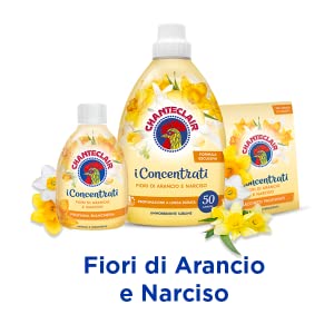 Fiori d'arancio e narciso