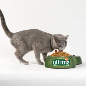 Ultima; Gatto; gatto; sterilizzato; pollo; Salmone; adulti; gatti; Affinity; Penso per il gatto