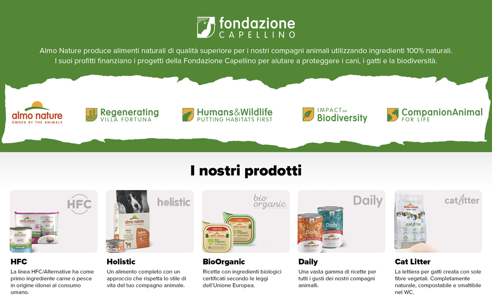 fondazione banner and products