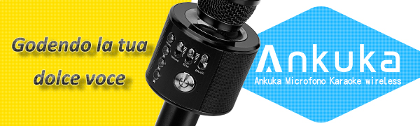 Ankuka Wireless Karaoke Microphones