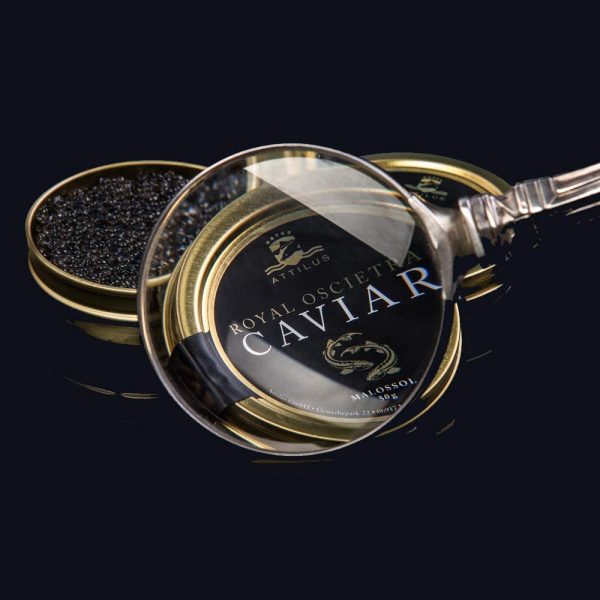 Attilus Royal Oscietra Caviar - immagine 2