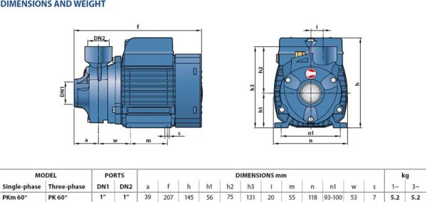 Elettropompa PK Periferica PKm60 0,5Hp girante Ottone 220V Pompa Acqua