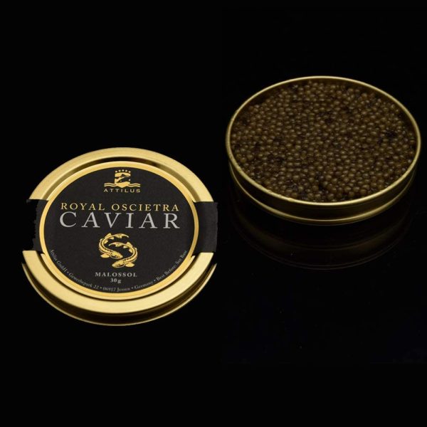 Attilus Royal Oscietra Caviar - immagine 6