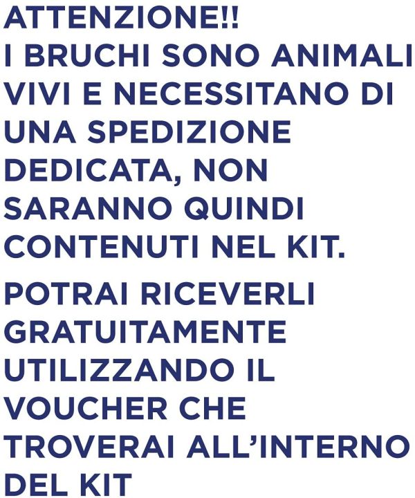 ButterflyKit, Il Kit per Allevare in Casa le farfalle di Cavolaia Maggiore - Esperimento educativo, Kit educativi scientifici Bambini, Idee Regalo Bambino Bambina, Compleanno, Idea Regalo Ragazza - immagine 4