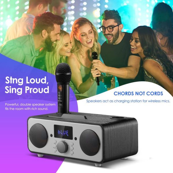 Casse Bluetooth Karaoke con 2 Microfono wireless Pu?? Elimina la canzone originale Impianto Stereo casa Cassa Portatile Bluetooth potente per Casa cantare Party Adulti Bambini (Nero) - immagine 8