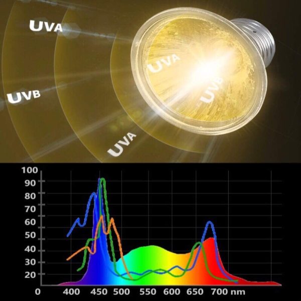 Lampada Tartaruga Illuminazione con Timer, Lampada uvb Tartarughe, UVA e UVB Lampada Riscaldante Rettile per Acqua,Tartarughina,Anfibi,Drago Barbuto,Lucertola,Serpente(3 lampadine incluse) - immagine 7