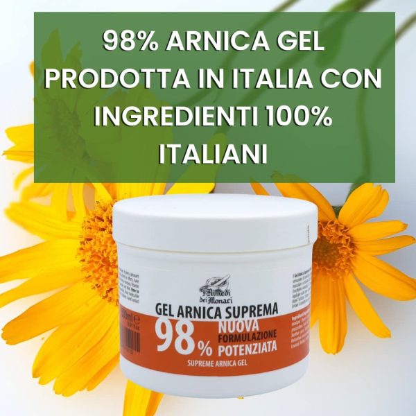 I Rimedi dei Monaci - Arnica per cavalli uso umano 98% | 500ML | Con estratti di lavanda, menta, olio di gaulteria, Vitamina E | Crema Arnica Lenitiva muscolare 100% Italiana