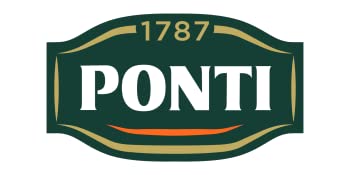 logo ponti