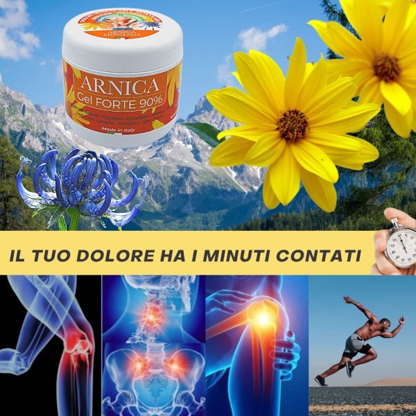 PharmaC+ Arnica per Cavalli uso Umano 90% 500ml, Arnica Gel FORTE, Estratto Puro CONCENTRATA, Crema Arnica Montana per Massaggi Sport Dolori Muscolari, con Artiglio del Diavolo Canfora Menta Timo - immagine 8