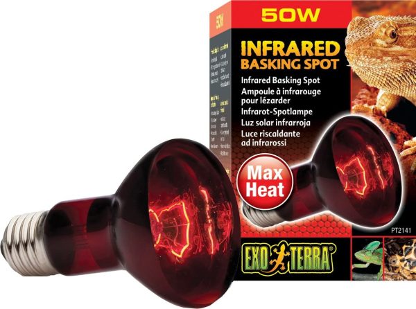 Lampada Spot A Infrarossi Ex Heat GL R W 1 R20/50 W, R20 / 50 W - immagine 3