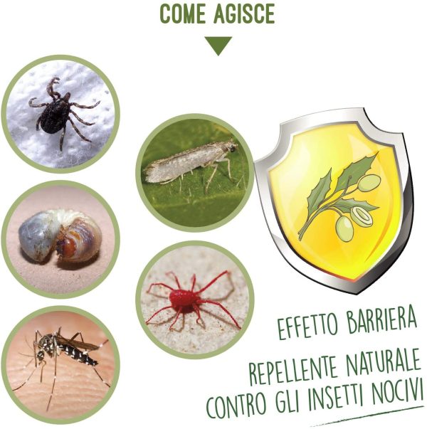 I Consigli Dell'Esperto Spray Olio di Neem Pronto all'Uso - immagine 4