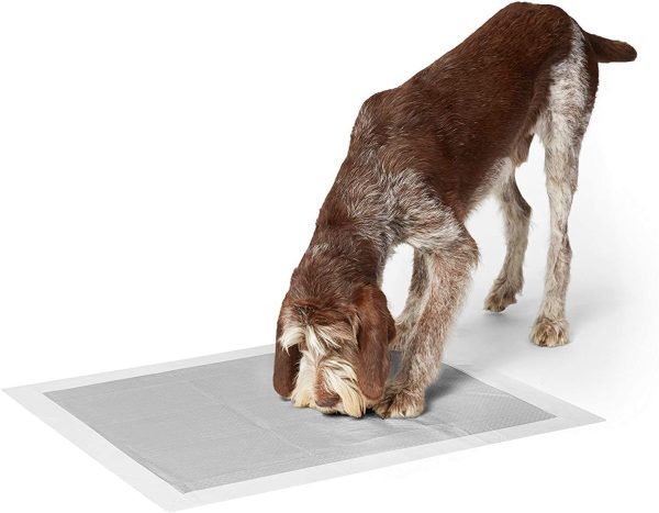 Amazon Basics - Tappetini igienici con carbone attivo per l'addestramento di cagnolini e altri animali domestici, misura extra-large, 30 pezzi - immagine 2