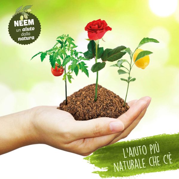 i Consigli dell'Esperto Olio di NEEM ad Uso Non Alimentare, Flacone 240 ml