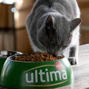 Ultima; Gatto; gatto; no sterilizzato; pollo; Salmone; adulti; gatti; Affinity; cibo; mazo