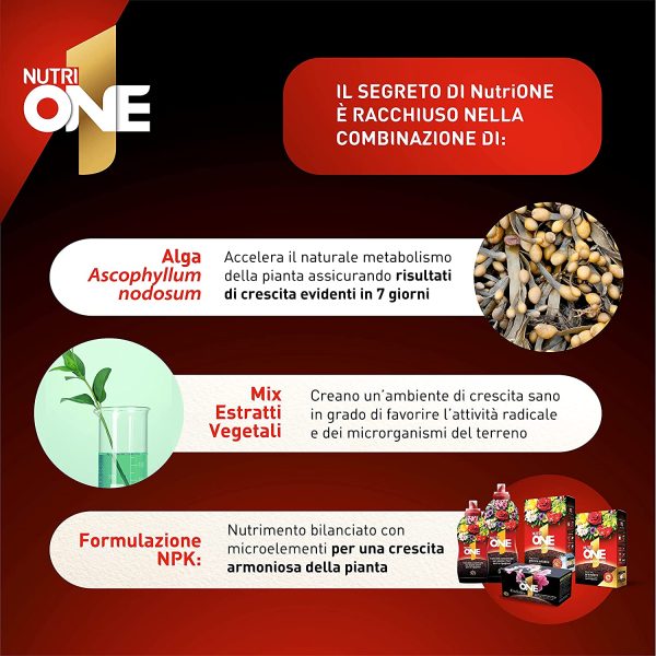 NUTRI 1 ONE NutriONE Concime concentrato per Piante e Fiori, 1 litro, 1000 unit?? - immagine 4