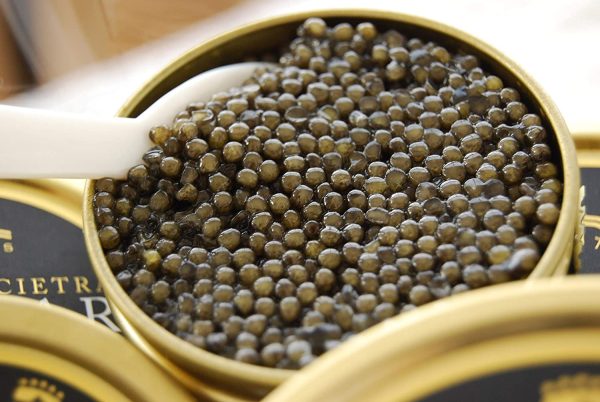 Attilus Royal Oscietra Caviar - immagine 4