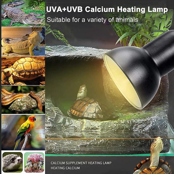 Lampada Tartaruga Illuminazione con Timer, Lampada uvb Tartarughe, UVA e UVB Lampada Riscaldante Rettile per Acqua,Tartarughina,Anfibi,Drago Barbuto,Lucertola,Serpente(3 lampadine incluse) - immagine 6