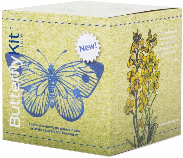 ButterflyKit, Il Kit per Allevare in Casa le farfalle di Cavolaia Maggiore - Esperimento educativo, Kit educativi scientifici Bambini, Idee Regalo Bambino Bambina, Compleanno, Idea Regalo Ragazza - immagine 6