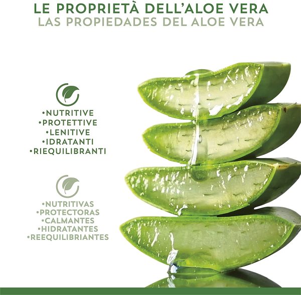 Equilibra Corpo, Aloe Crema Mani e Unghie, Crema Mani a Base di Aloe Vera, Svolge un'Azione Idratante, Lenitiva, Protettiva e Riequilibrante sulla Pelle, Rapido Assorbimento, 75 ml - immagine 7