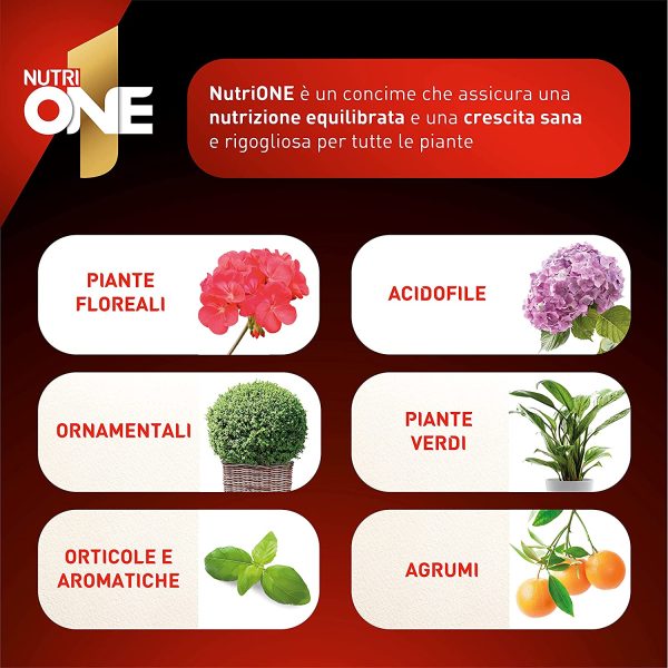 NUTRI 1 ONE NutriONE Concime concentrato per Piante e Fiori, 1 litro, 1000 unit??