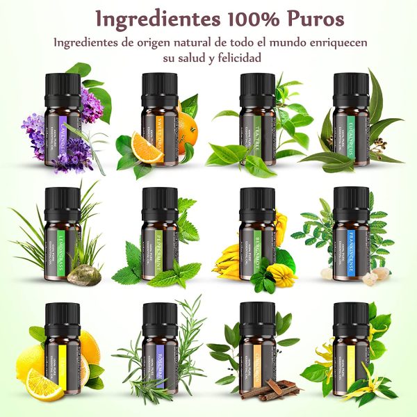 Olio Essenziale Aromaterapia - Set di olio puri al 100%, 12 ?? 5 ml, Lavanda, Arancia dolce, Albero del t??, Eucalipto, Citronella, Menta piperita, Bergamotto, Limone, Rosmarino, Ylang-ylang, ecc. - immagine 5