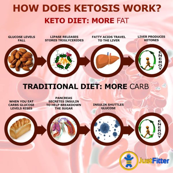 Urinalysis Ketone Keto Urine Test Strips. Test delle analisi chetoniche delle urine per livelli di chetoni a basso contenuto di carboidrati - immagine 4