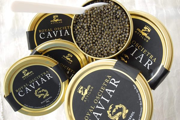 Attilus Royal Oscietra Caviar