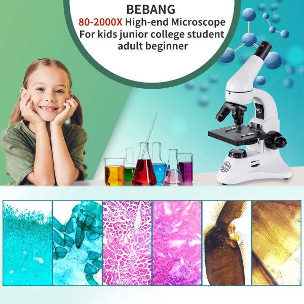 2000X Microscopio Ottico Professionale, Microscopi Monoculari Composti Biologici per Bambini e Studenti e Adulti - immagine 7