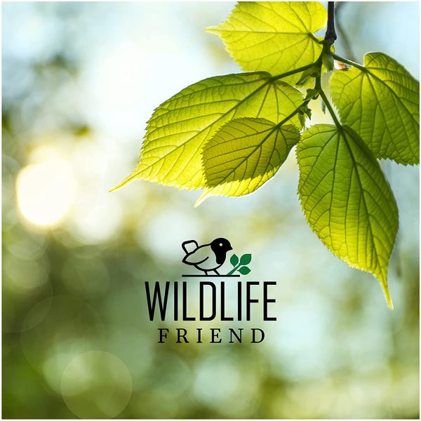 WILDLIFE FRIEND | Casetta per Insetti - in Legno con Tetto in Zinco - Rifugio Ecologico per Farfalle Vespe Api Coleotteri - immagine 3