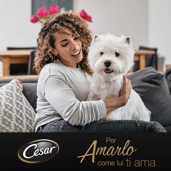 Cesar Selezioni dell'orto Cibo per Cane con Manzo con cuore di verdure dell'orto 150 g - 14 Vaschette, l'imballaggio pu?? variare - immagine 5