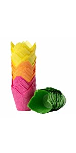 Katbite Tulip Cupcake Liners 200PCS