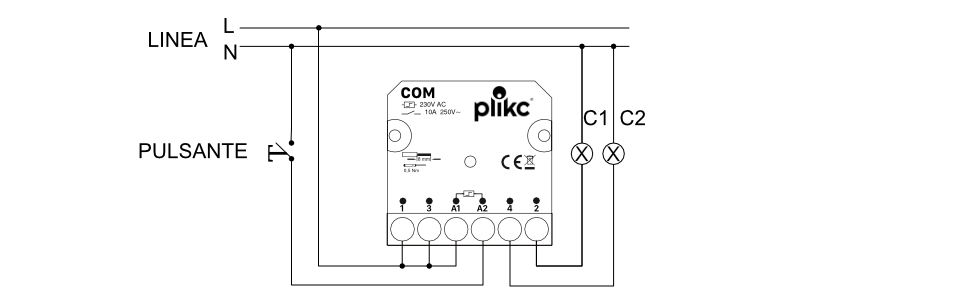 SCHEMA