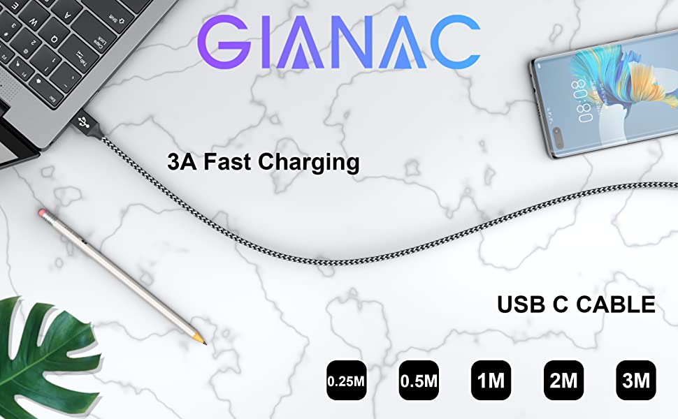 GIANAC CAVO USB Type-C