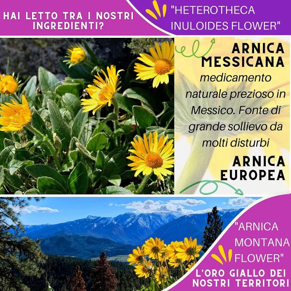 Arnica Per Cavalli Uso Umano 500ml Unica con Arnica Messicana e Montana Europea Agisce Tempestivamente per Massaggi Muscolari Articolari Formula Naturale Ti Dona un Rapido Sollievo Arnica Gel Forte - immagine 3