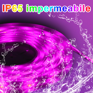 IMPERMEABILIT?? IP65 