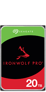 IronWolf Pro