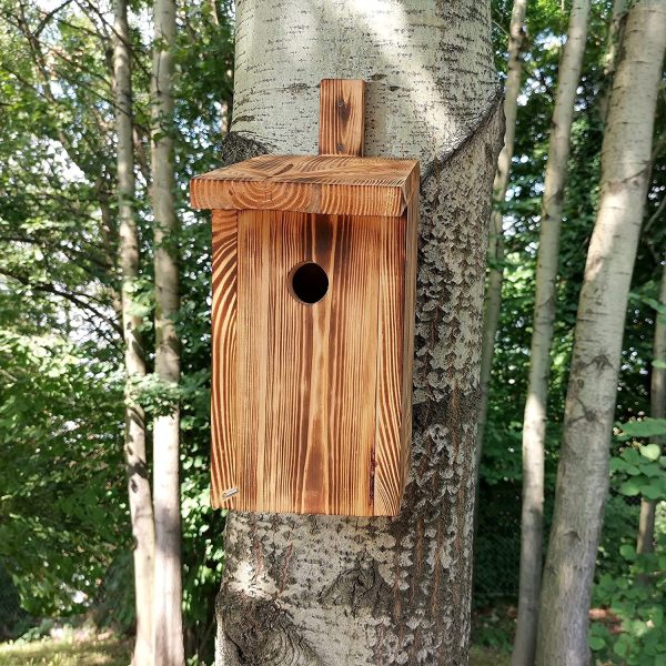 LEVIATAN PARIDAE Nidi Naturali per Cinciallegra | Foro da 33 mm | Legno Massello | Contorto | Casette per Gli Uccelli | Casette per Uccelli Resistenti alle Intemperie - immagine 4